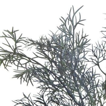 Πράσινο Συνθετικό / ΠΟΛΥΕΣΤΕΡ Πλαστικό 3-85-505-0103
