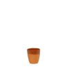 TERRACOTTA BROWN ΠΥΡΙΜΑΧ. ΚΟΥΠΑ 330ML ΧΩΡΙΣ ΛΑΒΗ 9X9