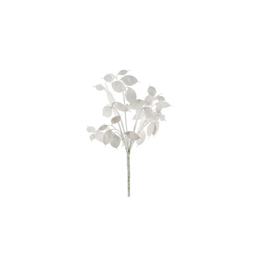 ΚΛΑΔΙ LUNARIA ΛΕΥΚΟ 40ΕΚ