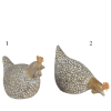 1 (2)
