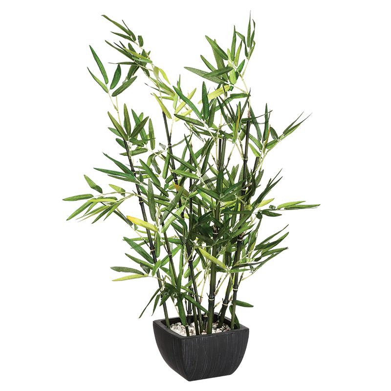 Φυτό σε γλάστρα Green pakoworld 43x34x67εκ 199-000211