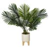Φυτό σε γλάστρα Green4 pakoworld 83x75x65εκ 199-000232