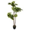 Φυτό σε γλάστρα Green6 pakoworld 70x65x135εκ 199-000249
