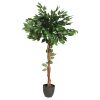 Φυτό σε γλάστρα Green8 pakoworld 77x77x130εκ 199-000253