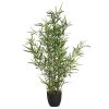 Φυτό σε γλάστρα Green10 pakoworld 63x55x90εκ 199-000295