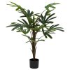Φυτό σε γλάστρα Emeric pakoworld 15x13x120εκ 199-000538