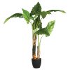 Φυτό σε γλάστρα Jovan pakoworld 125x100x124εκ 199-000539