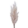 Κλαδί Pampas συνθετικό cream 220356