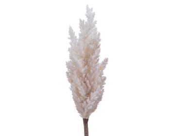 Κλαδί Pampas συνθετικό cream 220356