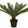 Φοίνικας σε γλάστρα 60x80cm green 804214