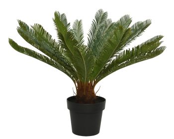 Φοίνικας σε γλάστρα 60x80cm green 804214