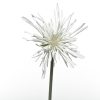 Κλαδί Χρυσάνθεμο Λευκό 60cm white 804264