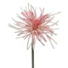 Κλαδί Χρυσάνθεμο Ροζ 60cm pink 804266
