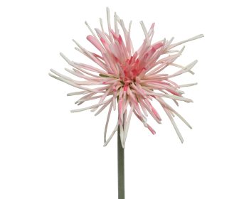 Κλαδί Χρυσάνθεμο Ροζ 60cm pink 804266