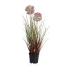 Φυτό με Άνθος σε γλαστράκι πράσινο/ροζ 23x56 green/pink 808540