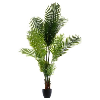 Φυτό σε γλάστρα Green9 pakoworld 114x105x180εκ 199-000273