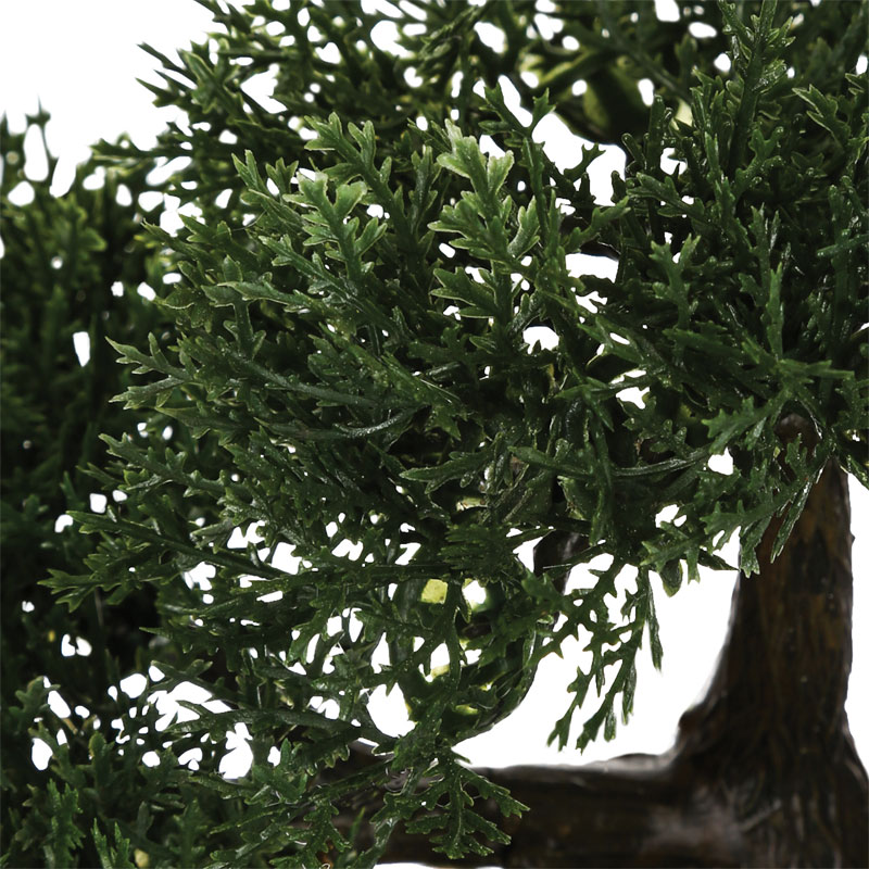 Φυτό σε γλάστρα Green18 35x32x34εκ - Image 2