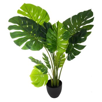Φυτό σε γλάστρα Green 14 pakoworld 84x79x110εκ 199-000493