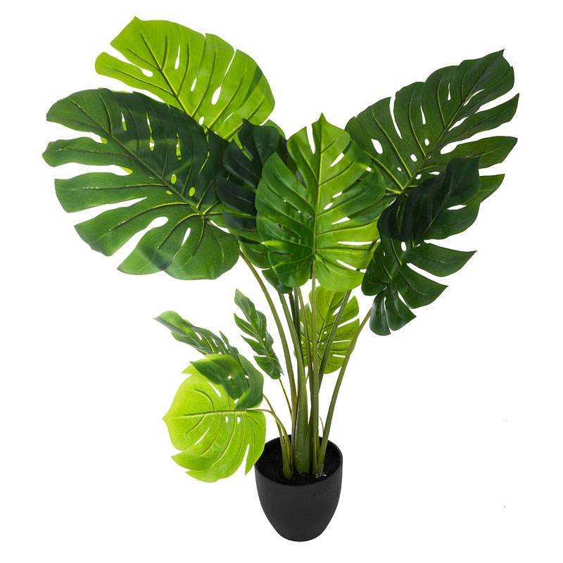 Φυτό σε γλάστρα Green 14 pakoworld 84x79x110εκ 199-000493