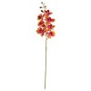 ΟΡΧΙΔΕΑ ΦΑΛΑΙΝΟΨΙΣ ΣΟΜΟΝ NATURAL TOUCH 105cm 20-31-940