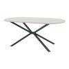 Τραπέζι Lerdion pakoworld μόκα mdf-μαύρο μέταλλο 180x90x75εκ 190-000065