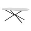 Τραπέζι Lerdion pakoworld γκρι mdf-μαύρο μέταλλο 180x90x75εκ 190-000066