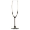 SIDERA CHAMPAGNE 220CC H:22.5CM. P/672 GB6.OB24 SP440138G6 Espiel