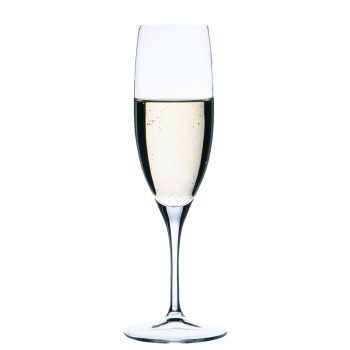 NUDE PRIMEUR CHAMPAGNE S/6 200CC (FD67009) P/480 GB6.OB24. NU67009-6 Espiel