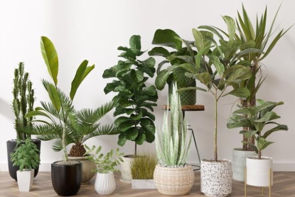 Decorate-With-Artificial-Plants