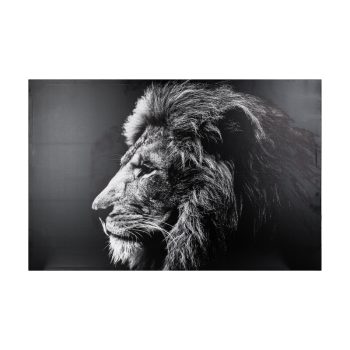 Πίνακας σε καμβά με πλαίσιο Lionner pakoworld mdf 118x3x78εκ 199-000563