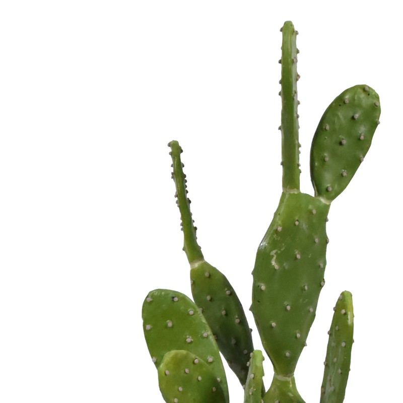 Διακοσμητικό φυτό Cactus σε γλάστρα Inart πράσινο pp Υ64εκ - Image 2