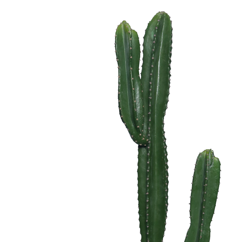Διακοσμητικό φυτό Cactus I σε γλάστρα Inart πράσινο pp Υ155εκ - Image 2
