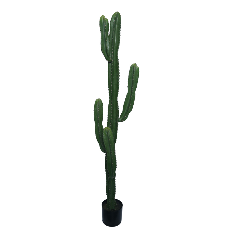 Διακοσμητικό φυτό Cactus I σε γλάστρα Inart πράσινο pp Υ155εκ 316-000022