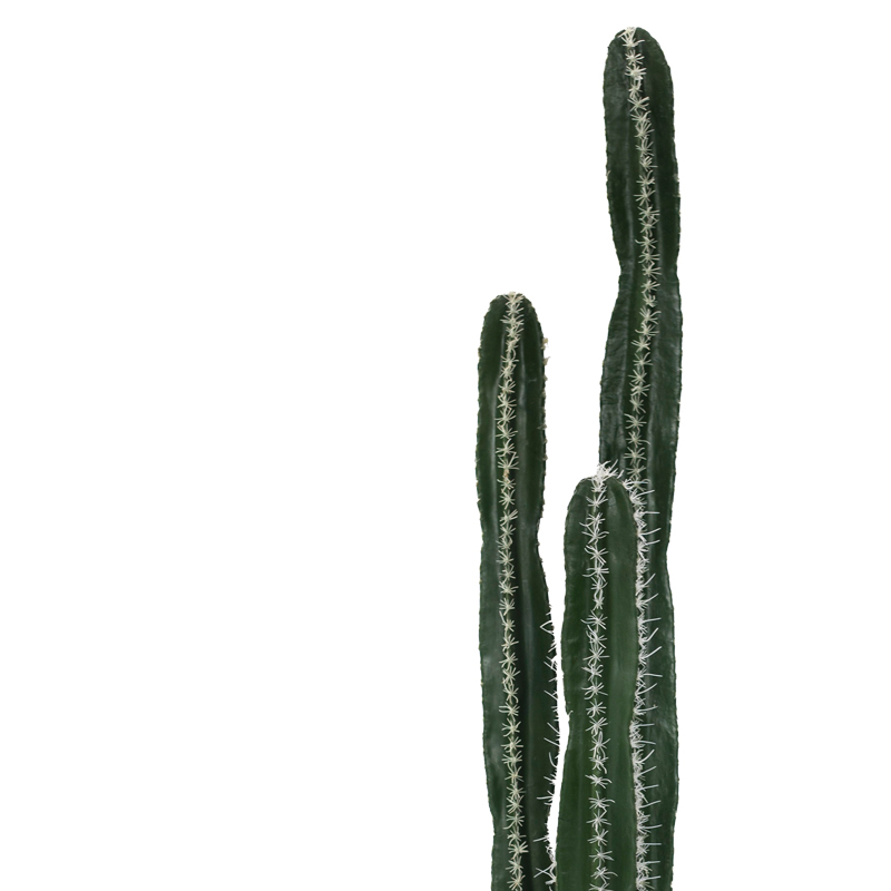 Διακοσμητικό φυτό Cactus II σε γλάστρα Inart πράσινο pp Υ155εκ - Image 2