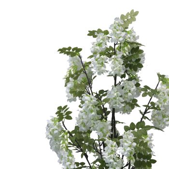 Alternative view of Διακοσμητικό φυτό Bean flowers σε γλάστρα Inart λευκό pp Υ125εκ
