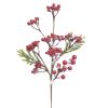 ΦΥΤΟ/ΚΛΑΔΙ ΧΙΟΝΙΣΜΕΝΟ ΜΕ BERRIES