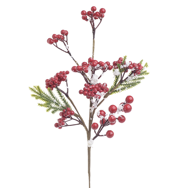 ΦΥΤΟ/ΚΛΑΔΙ ΧΙΟΝΙΣΜΕΝΟ ΜΕ BERRIES