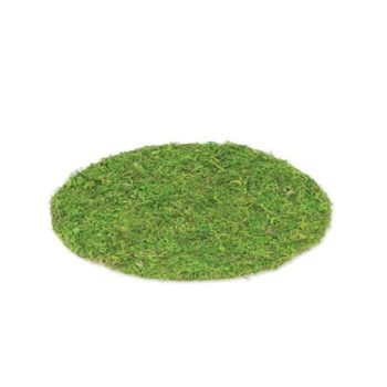 Beauty Home ΣΟΥΠΛΑ GREENERY 35 cm