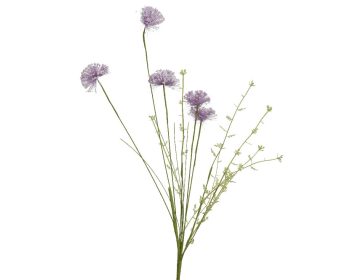 Beauty Home ΛΟΥΛΟΥΔΙ 60cm