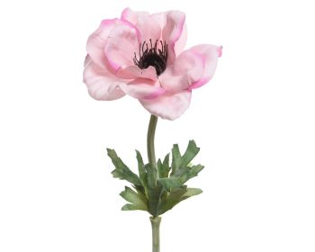 Beauty Home ΑΝΑΕΜΩΝΗ 57 CM