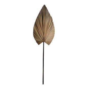 Διακοσμητικό φύλλο Leafen pakoworld φυσικό palm leaf 150 εκ 335-000014