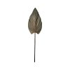 Διακοσμητικό φύλλο Leafen I pakoworld φυσικό palm leaf 130εκ 335-000015