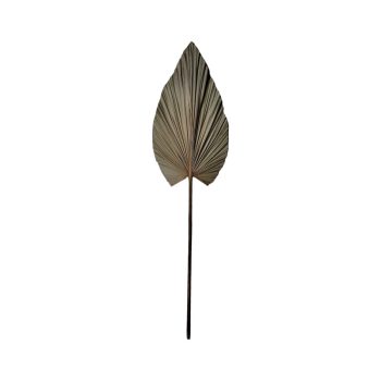 Διακοσμητικό φύλλο Leafen I pakoworld φυσικό palm leaf 130εκ 335-000015
