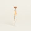 Beauty Home ΓΥΑΛΙΝΟΣ ΣΩΛΗΝΑΣ ΜΕ ΚΛΑΔΙΑ 3 x 18 cm Κίτρινο
