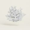 Beauty Home ΚΟΡΑΛΙ ΛΕΥΚΟ ΜΕ ΒΑΣΗ PLEXI GLASS 24 x 24 cm