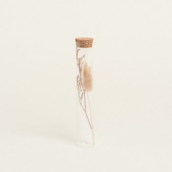 Beauty Home ΓΥΑΛΙΝΟΣ ΣΩΛΗΝΑΣ ΜΕ ΚΛΑΔΙΑ 3 x 18 cm Μπεζ
