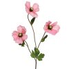 Beauty Home ΠΑΠΑΡΟΥΝΑ ΡΟΖ 71 CM
