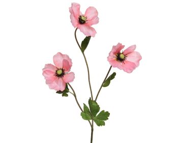Beauty Home ΠΑΠΑΡΟΥΝΑ ΡΟΖ 71 CM