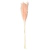Beauty Home PAMPAS ΡΟΖ 80 CM 3 ΤΜΧ