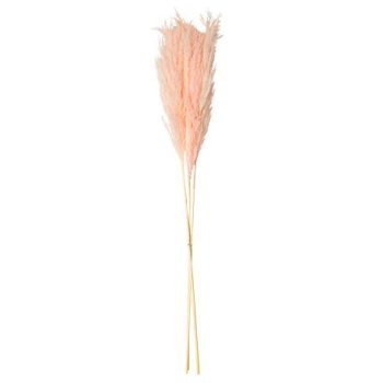 Beauty Home PAMPAS ΡΟΖ 80 CM 3 ΤΜΧ